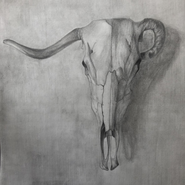 Animal skull illustration.